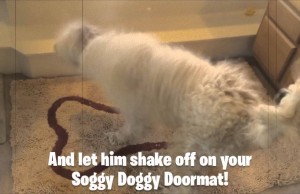 Soggy Doggy Makes Bath Time Easier