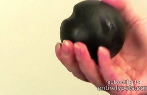 West Paw Has Created the Only Ball Your Dog Will Ever Need