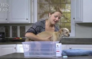 Keep Dog Paws Clean With These Fizzing Tablets