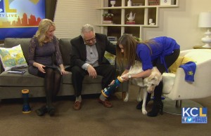 New Invention Makes Keeping Your Dog’s Paws Clean, Simple and Fun