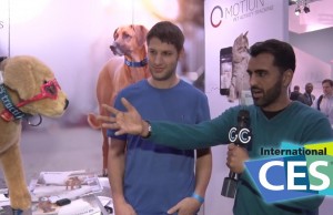 Tractive Offers Dog Owners Piece of Mind