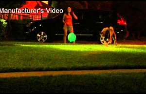 Glow-In-The-Dark Toys Make It Fun to Play Fetch at Night