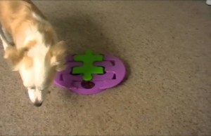 Kyjen Jigsaw Glider Makes Eating Fun and Promotes Healthy Brain Function