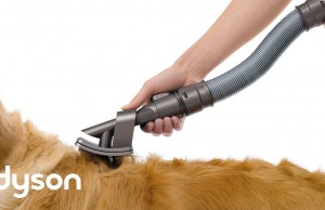 New Vacuum Attachment Makes Dog Grooming Easier