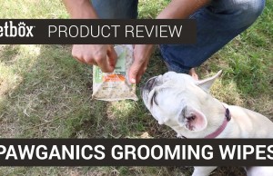 PawGanics Grooming Wipes Keep Your Dog Clean and Fresh