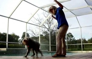 Dry Buddies Pet Towel Prevents After Bath Mess