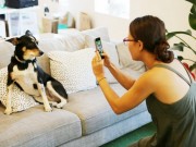 BarkCam Lets You Take Better Pictures of Your Dog BarkCam Lets You Take Better Pictures of Your Dog