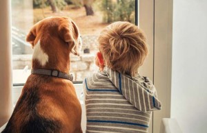 Do Dogs Have Feelings? Science Has the Answer Do Dogs Have Feelings Science Has the Answer