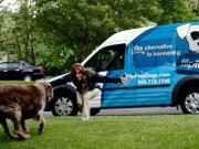 Flip Flop Dogs Offers Dog Owners an Alternative to Kenneling Flip Flop Dogs Offers Dog Owners an Alternative to Kenneling