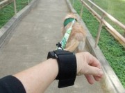 Homeless Veteran Creates a Hands Free Way to Walk Your Dog Homeless Veteran Creates a Hands Free Way to Walk Your Dog