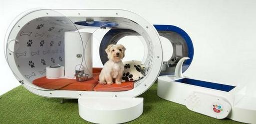 How Technology Will Affect Dog Owners in the Future