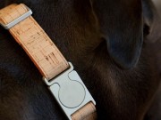 MEMAPets Introduces ALU Smart Collar for Dogs MEMAPets Introduces ALU Smart Collar for Dogs