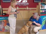 Petplan and Total Pet Care Partner to Offer Better Pet Insurance to Owners Petplan and Total Pet Care Partner to Offer Better Pet Insurance to Owners