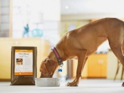 Purina Creates Personalized Pet Food Purina Creates Personalized Pet Food