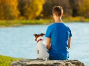 Revitamal Brings Anti-Aging Science to Dogs Revitamal Brings Anti-Aging Science to Dogs