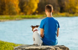 Revitamal Brings Anti-Aging Science to Dogs Revitamal Brings Anti-Aging Science to Dogs