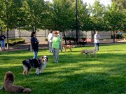 Slobbr is an App That Will Combine All Goods and Services for Dog Lovers in One Place Slobbr is an App Where All Goods and Services for Dog Lovers Intersect