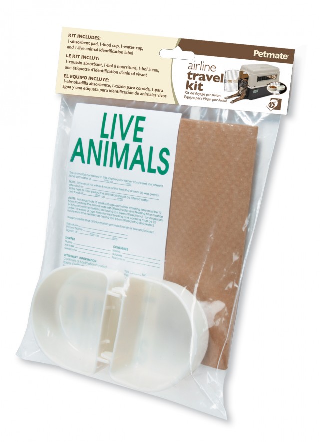 10 Items You Need When Traveling with Dogs Top Dog Tips