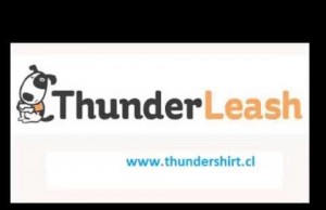 The Thunderleash Stops Your Dog From Pulling