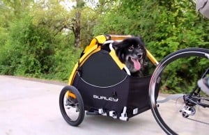 The Burley Tail Wagon Dog Bike Trailer and Stroller