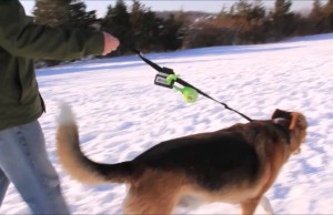 Make Cleaning Up After Your Dog Easier With the Scoopette