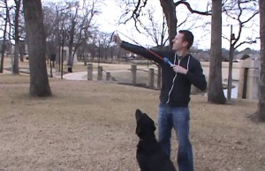 The Chuckit! Ultra Sling by Petmate