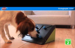 The Kicker Strategy Game by Trixie Pet Products