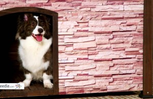 Precision Extreme Outback Woodstone Dog House
