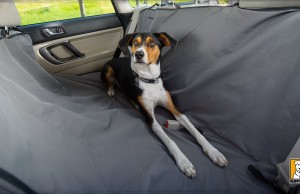 The Dirtbag Seat Cover Keeps Your Car Clean