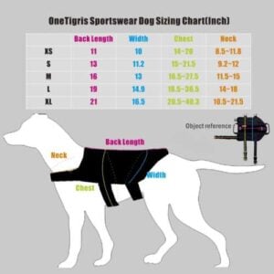 Dog Harness Guide - Making Sure Your Dog Is Comfortable