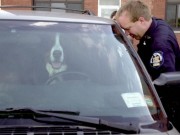 New Law in New York Could Protect Dogs Trapped in Hot Vehicles New Law in New York Could Protect Dogs Trapped in Hot Vehicles