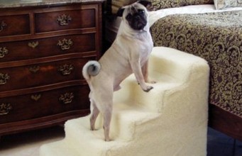 Petstairz High Density Foam Pet Stairs Review Petstairz High Density Foam Pet Stairs Review