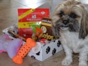Pooch Paw Box Subscriptions Deliver American-Made Toys and Treats Pooch Paw Box Subscriptions Deliver American Made Toys and Treats