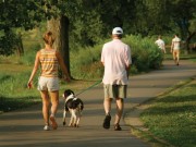 SlimDoggy Helps Owners Keep Their Dogs in Top Health SlimDoggy Helps Owners Keep Their Dogs in Top Health