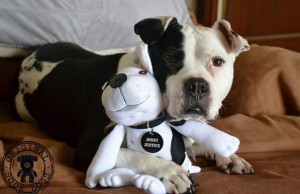 Sock Dogs – A Unique Way to Honor Your Canine Companion Sock Dogs Are a Unique Way to Honor Your Canine Companion