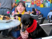 Double Wide Grill in Pittsburgh Will Serve to Your Canine Companion The Double Wide Grill in Pittsburgh Serves Canine Companions Too