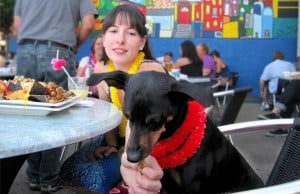 Double Wide Grill in Pittsburgh Will Serve to Your Canine Companion The Double Wide Grill in Pittsburgh Serves Canine Companions Too