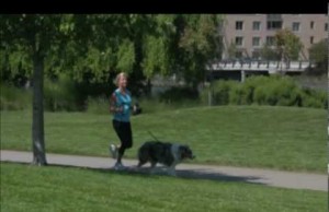 The Power Leash Exercise System Gives a Boost to Your Dog Walking Workout