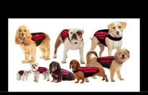 Wiggleless Dog Back Brace Assists Dog With Spine Issues