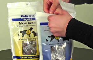 Make Giving Pills to Your Dog Easy with Tricky Treats