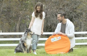 A Zip & Zoom Outdoor Agility Kit Makes Training Fun