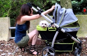 Pet Strollers Like the InnoPet Buggy Retro Are Becoming Popular with Pet Parents