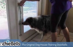 Stop Door Scratching With PoochieBells