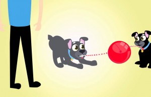 Tuggo is a Water-Filled Toy That Lets Your Dog Play Tug When You’re Not Home