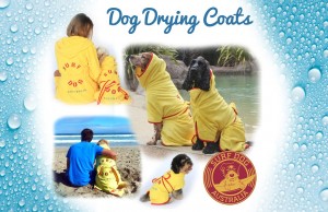Dry Your Dog Faster with This Dog Drying Coat