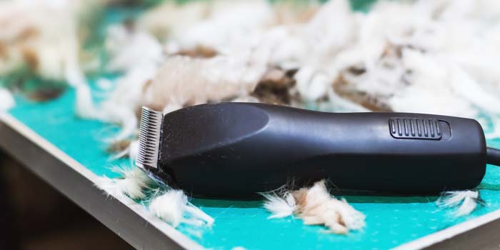 clippers silent dog grooming dogs noise tried any