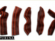 Dog Owner Claims Beggin’ Strips Don’t Have Enough Bacon Dog Owner Claims Beggin' Strips Don't Have Enough Bacon