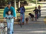 Dog Powered Scooters are Ideal for High-Energy Pets Dog Powered Scooters are Ideal for High-Energy Pets