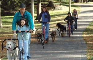 Dog Powered Scooters are Ideal for High-Energy Pets Dog Powered Scooters are Ideal for High-Energy Pets