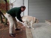 Doggone Best Products Releases New Canine Joint Supplement Doggone Best Products Releases New Canine Joint Supplement